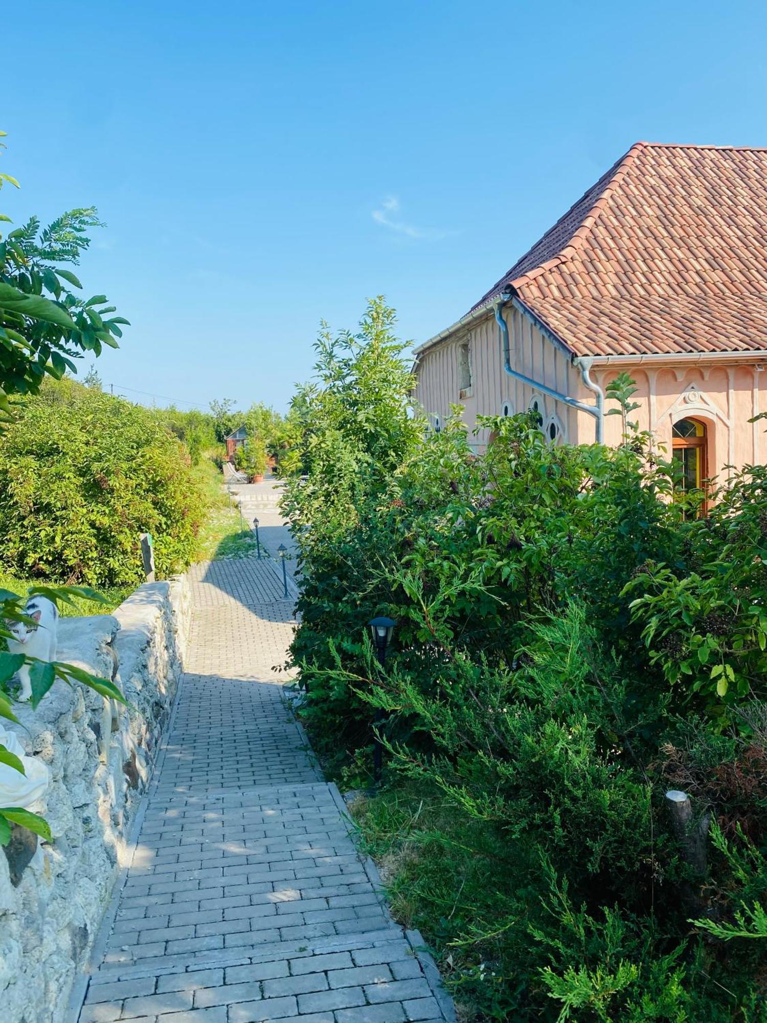 Chateau Vincze Sátoraljaújhely Extérieur photo